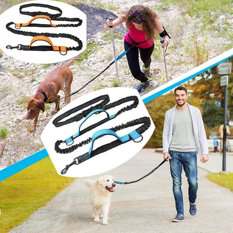 Dual Elastic Reflective Running Traction Rope Portable Retractable Dog Rope use as waist Leash for dog walking, running, or hiking - Modern Lifestyle Shopping