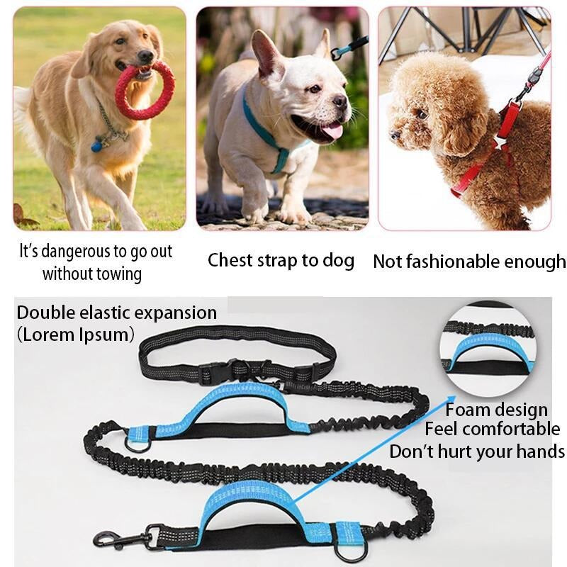 Dual Elastic Reflective Running Traction Rope Portable Retractable Dog Rope use as waist Leash for dog walking, running, or hiking - Modern Lifestyle Shopping