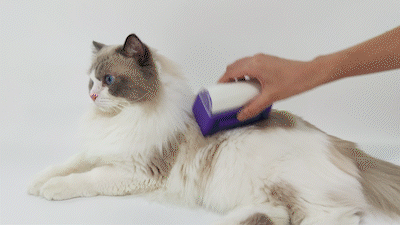 Cat & Dog 2 in 1 Pet Hair Removal Comb - Modern Lifestyle Shopping